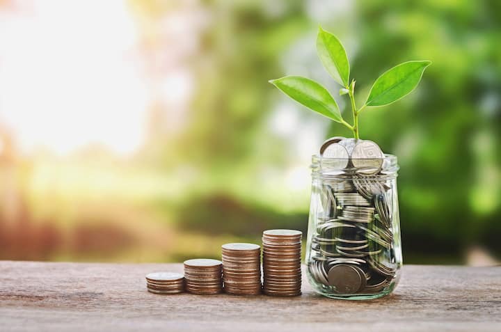 Plant,Growing,On,Coins,Glass,Jar in Brevard County